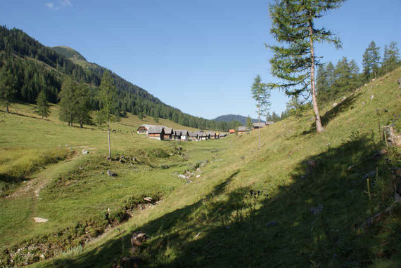 Die Dellacher Alm, links der Gipfel