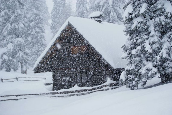 Winterwonderland