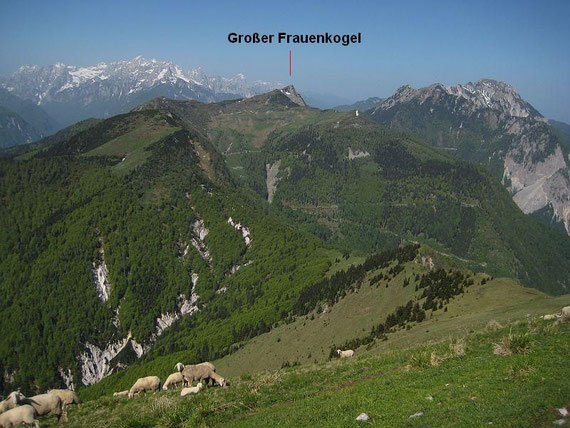 Die weitere Runde zeigt sich, der Große Frauenkogel stellt den westlichsten und höchsten Punkt dar; links im Bild die Julischen ALpen