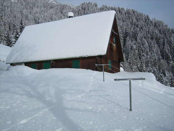 Bei der Abfahrt auf einer Alm