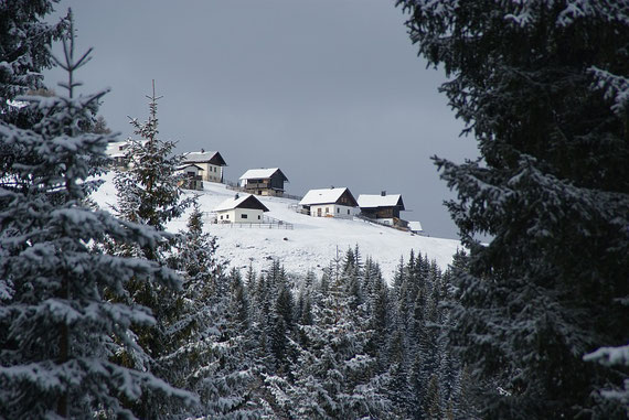 Ein erster Blick zur Alm