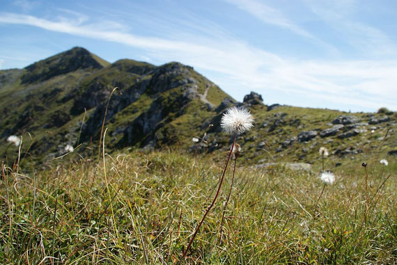 Der Weg im Bereich des Gratverlaufes, im Hintergrund der Klomnock