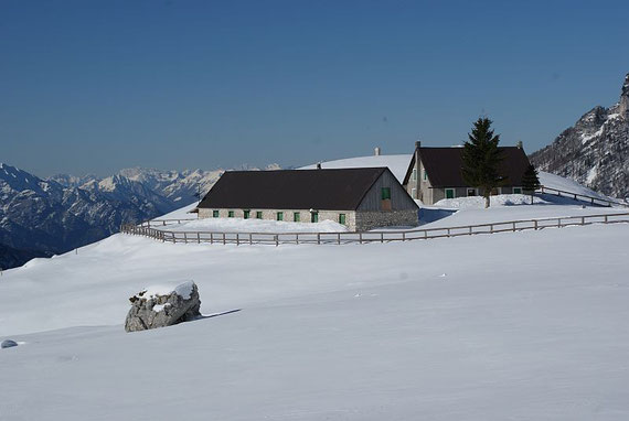 Die Pecol Alm