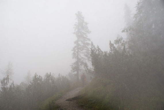 Im Nebel geht es durch den Wald aufwärts