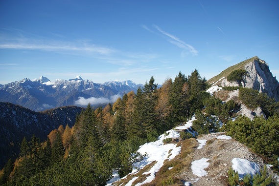 Kurz vorm Gipfel, links Mangart und Jalovec