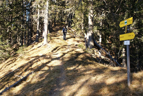 Am Sattel in 1480m Höhe
