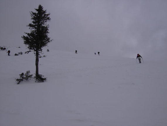Am Gipfelhang; Entlastungsabstände um die Gefahr einer Schneebrettauslösung zu minimieren