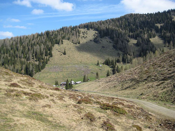 Blick zur Feldpannalm