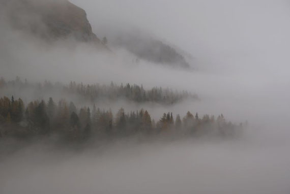 Zwischen den Nebel