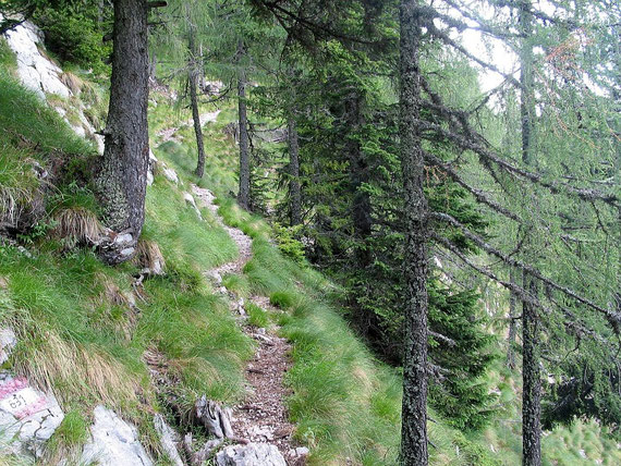 Aufstieg in der steilen Süd- bzw. Südwestflanke