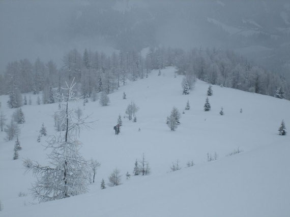 Knapp unterm Gipfel, der Blick auf die Rauter Alm