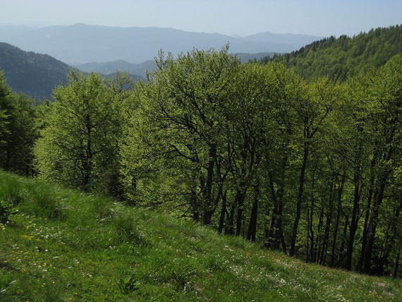 Am Eckelesattel (Jekljevo sedlo)