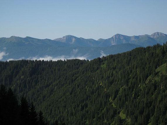 Beim Aufstieg ein Blick zurück in die Latschurgruppe (Goldeck, Staff, Eckwand und Latschur von links nach rechts)