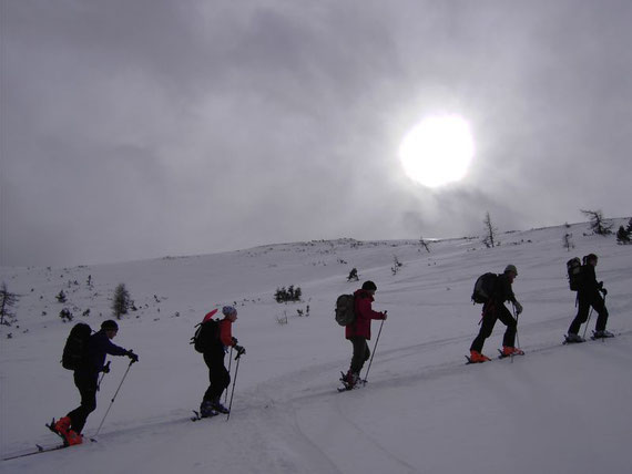 In etwa 1850m Seehöhe am Gipfelhang