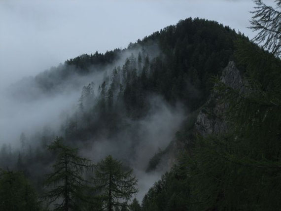 Beim Aufstieg knapp nach der Zollhütte
