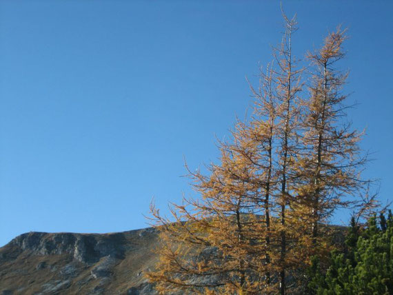 Blick auf den Predigstuhl 2190m