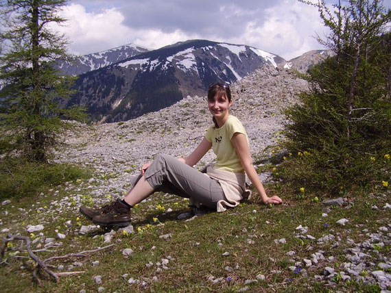 Blumenwiese unterhalb des Gipfels, im Hintergrund der Schneeberg (2076m)