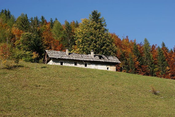 Bei der ersten Wiese