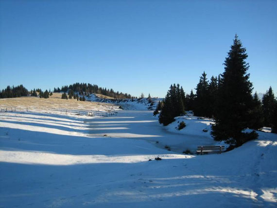 Der Schwarzsee