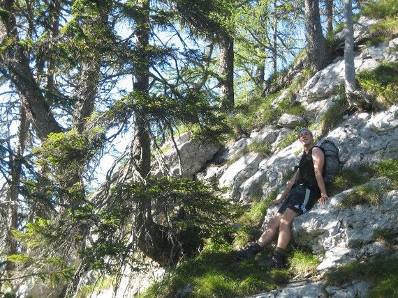 Im Aufstieg zuerst durch Buchen und Fichtenbestände. Später im oberen Teil auch durch Lärchen: