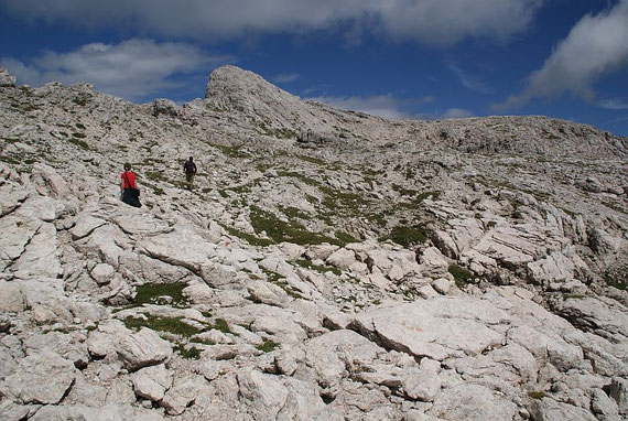 Am Gipfelplateau