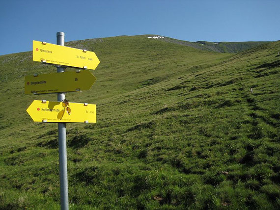 Knapp bevor man in rund 2000m auf den markanten Rücken gelangt öffnet sich bereits der Blick zur langgezogenen Gipfelflanke