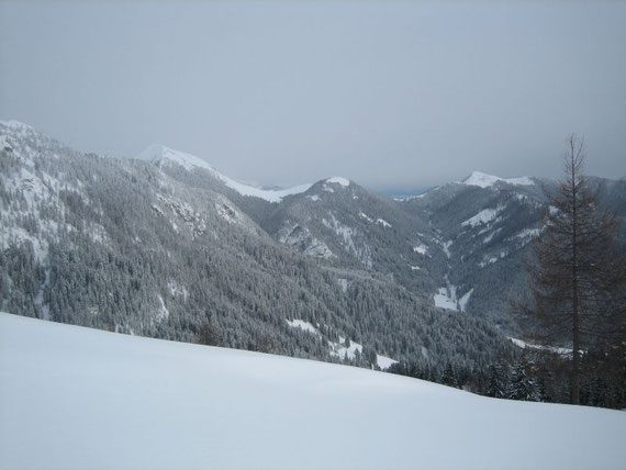 Während des Aufstiegs der Blick nach Osten hin auf die Feistritzer Alm (1722) und den Oisternig (2052m)