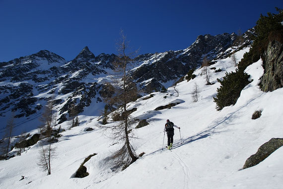 Im Aufstieg ins kleine Hochtal (südlich vom Wangenitzbach)