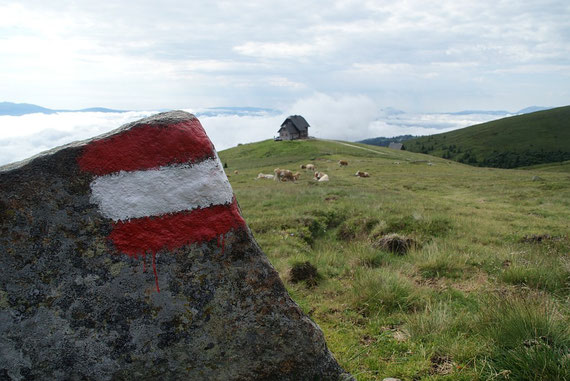Beim Aufstieg von der Wolfsbgerer Hütte zur Ladinger Spitze der Blick zurück