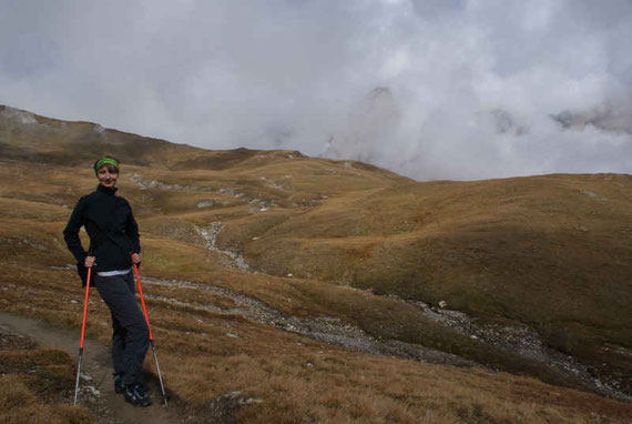Herrliche Almwiesen am Weg zur Salmhütte