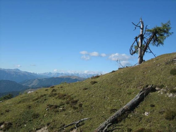 Beim Abstieg auf der Obervellacher Alm