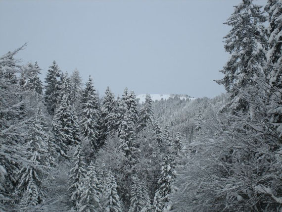 Blick vom Uggwatal aus auf den Gipfel des Monte Cocco
