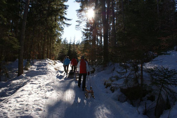 Besonders im Hochwinter liegt die Rodelbahn die längste Zeit im Schatten, erst im Feber zeigt sich öfters die Sonne