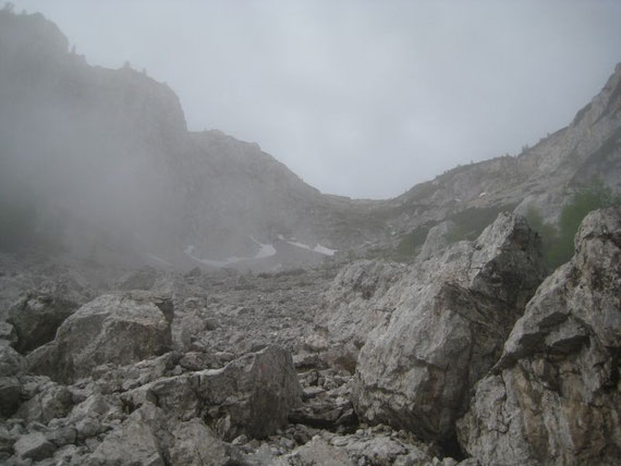 Der oberste Bereich des Alpenlahners