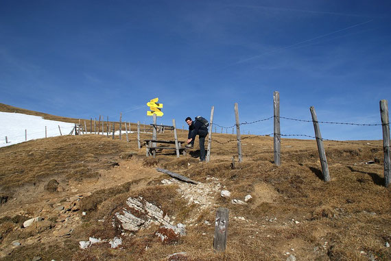 Am Törl in 2107m