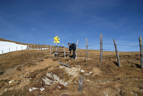 Am Törl in 2107m
