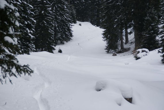 Die letzten Meter hinauf zum Lomsattel