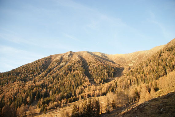 Im Abendlicht der Blick zurück hinauf zum Hocheck