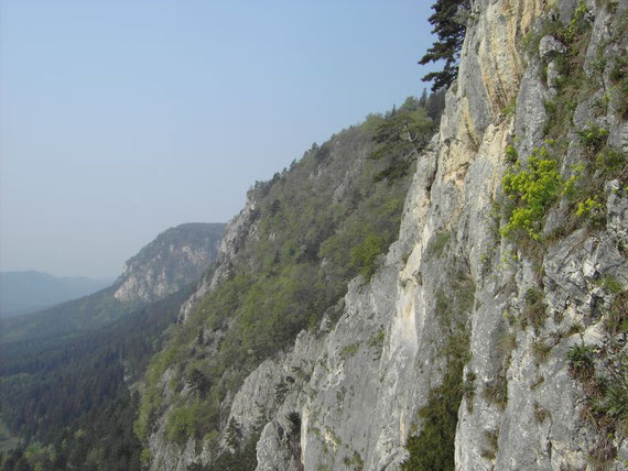 Die Hohe Wand (Blickrichtung nach Süden)