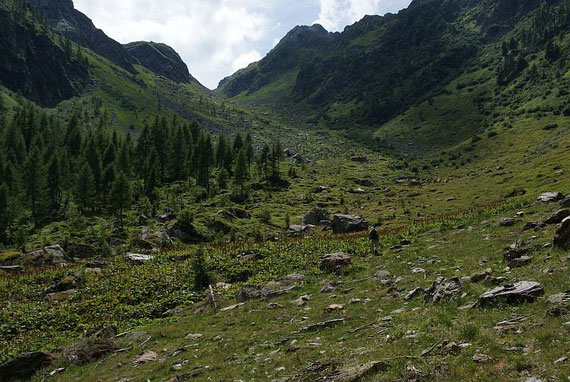 Das Tal hinauf zum Schönjöchl