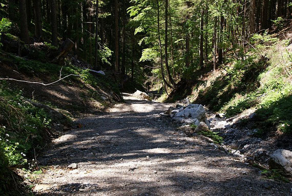 Beim Aufstieg der Wegverlauf im Graben