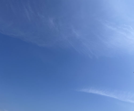 梅雨の晴れ間