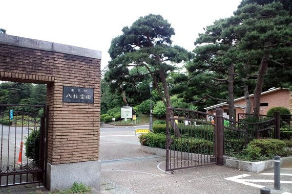 八柱霊園のお墓参り代行5,000円～お墓掃除代行はお墓参り代行110