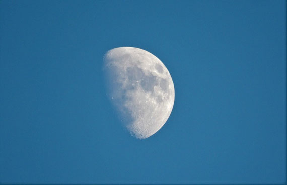 Wer weiß, was der Mond alles transformieren kann... (Foto: pixabay.com / "Vlog_nature")