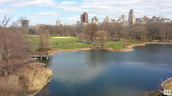 Central Park i New York - Rejse til New York