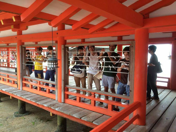 厳島神社にて。神社仏閣の木材腐朽蟻害調査を兼ねてゼミ旅行で訪れました。