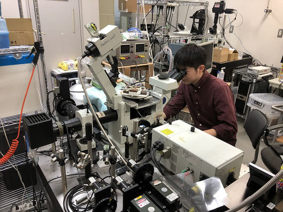 レーザー共焦点微分干渉顕微鏡を用いて、大学院生が実験している様子。