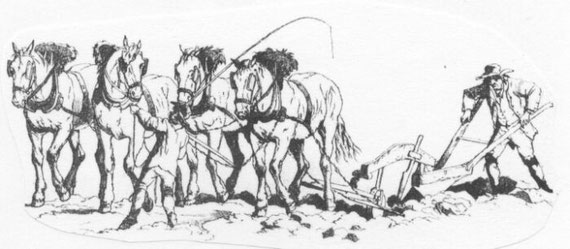 Ploughing