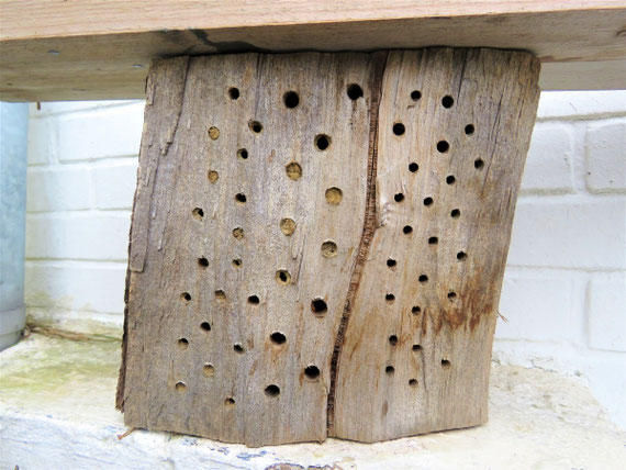 selbst gebaute Wildbienen-Nisthilfe