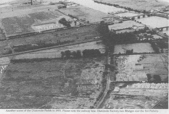 Another view of the Diatomite Fields in 1951. Please note the railway line, Diatomite factory, two bridges, and the eel fishery